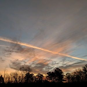 Meet your Posher, Alison